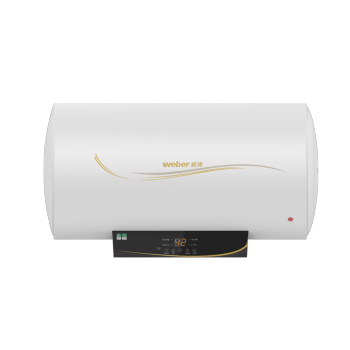 威博熱水器 安全型 F22EY(D)