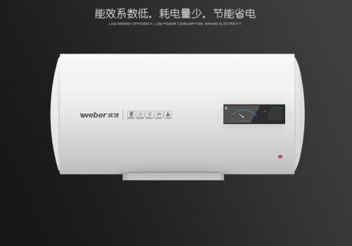 威博熱水器 儲(chǔ)水型 F22EY(D)